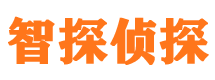 深圳市私家侦探